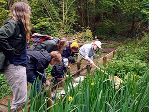 Cotswolds National Landscape - Pond Dipping