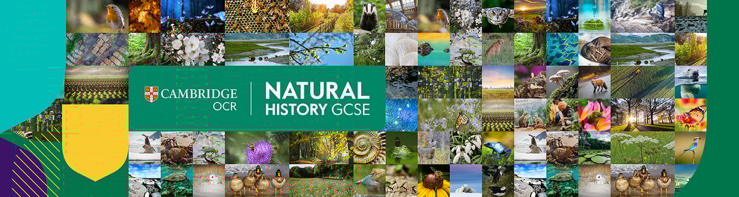 CO00189-HB-Landing-Page-Banner-1500x400px-O