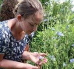 NH03 - Dilston Physic Garden - Nicolette Perry