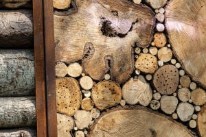 Dead wood panels Bug hotels