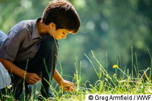 Child examining a flower in a meadow