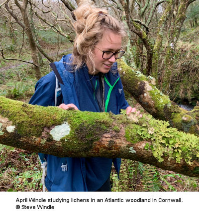 April Windle, British Lichen Society