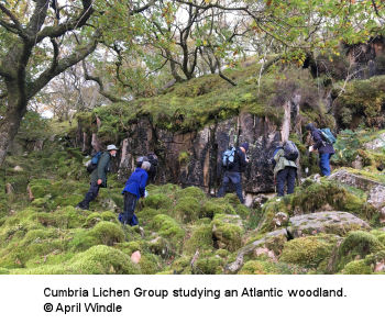 Cumbria Lichen Group studying an Atlantic woodland. © April Windle