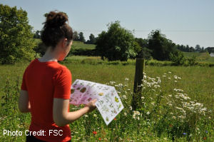 Girl_in_field_300x199