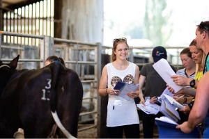 Students at a cattle market