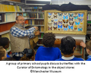 Primary school students in a lesson at the Manchester Museum