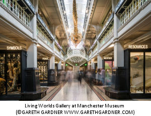 Living Worlds Gallery, Manchester Museum