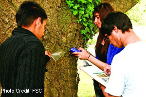 Students_and_tree_300x199