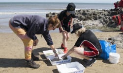 Marine Conservation Society Beach Clean Up 2