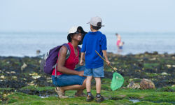 The Wildlife Trusts