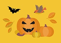 Pumpkins, a bird, a bat and some leaves